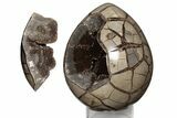 Polished Septarian Dragon Egg Geode #191460-1